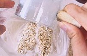 巧克力燕麦苹果派怎么做