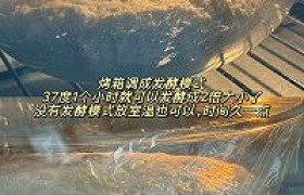 武大郎烧饼复刻校门口那口热乎咸香怎么做