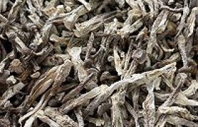 鹿茸菇胡萝卜炖排骨汤怎么做