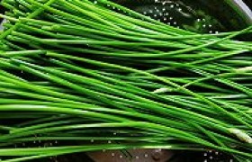 肉丝炒韭菜苔怎么做