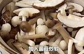 黑松露菌菇豆腐煲怎么做