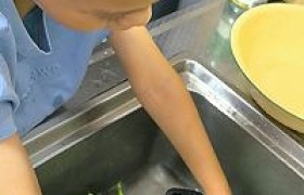 红薯叶麦饭怎么做