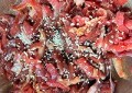 炒肉筋怎么做