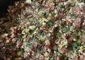 牛肉芹菜饺子怎么做