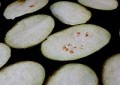 甜辣芝拌烤茄片怎么做