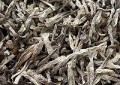 鹿茸菇胡萝卜炖排骨汤怎么做