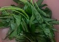爆炒空心菜怎么做