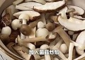 黑松露菌菇豆腐煲怎么做