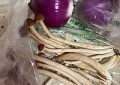 鲜掉眉毛小馄饨怎么做