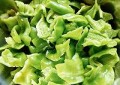 青椒炒鸡蛋怎么做